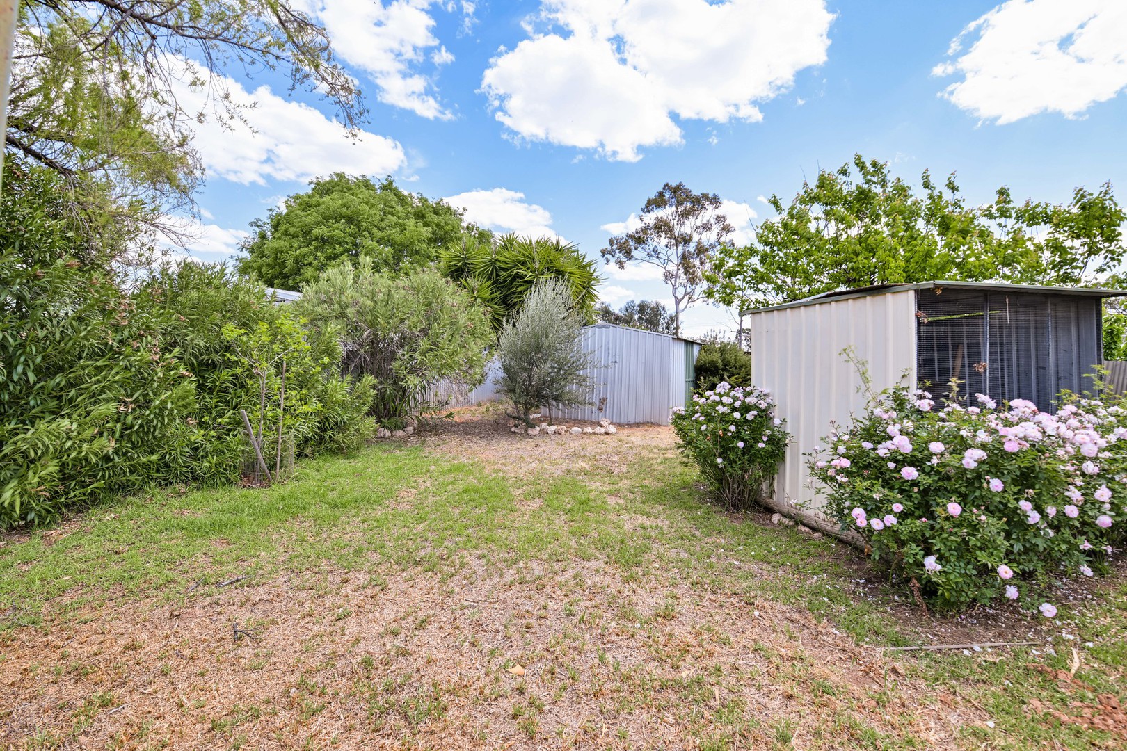 34-36 Perry Street, Euston, NSW 2737, Euston - Thumbnail 7