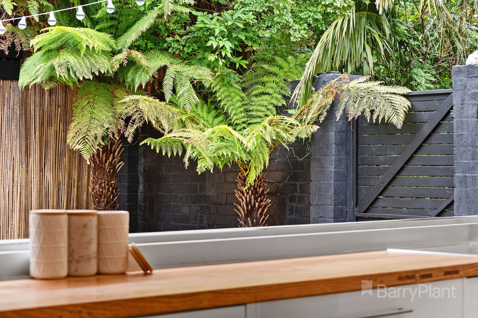 34 Gowrie Avenue, Frankston South, VIC 3199, Frankston South - Thumbnail 3