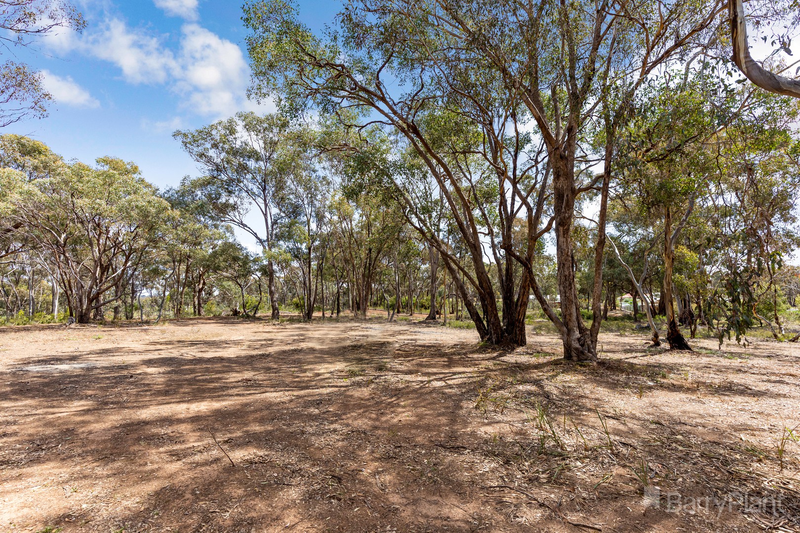 34 Mccombs RoadLockwood, VIC 3551, Lockwood - Thumbnail 4