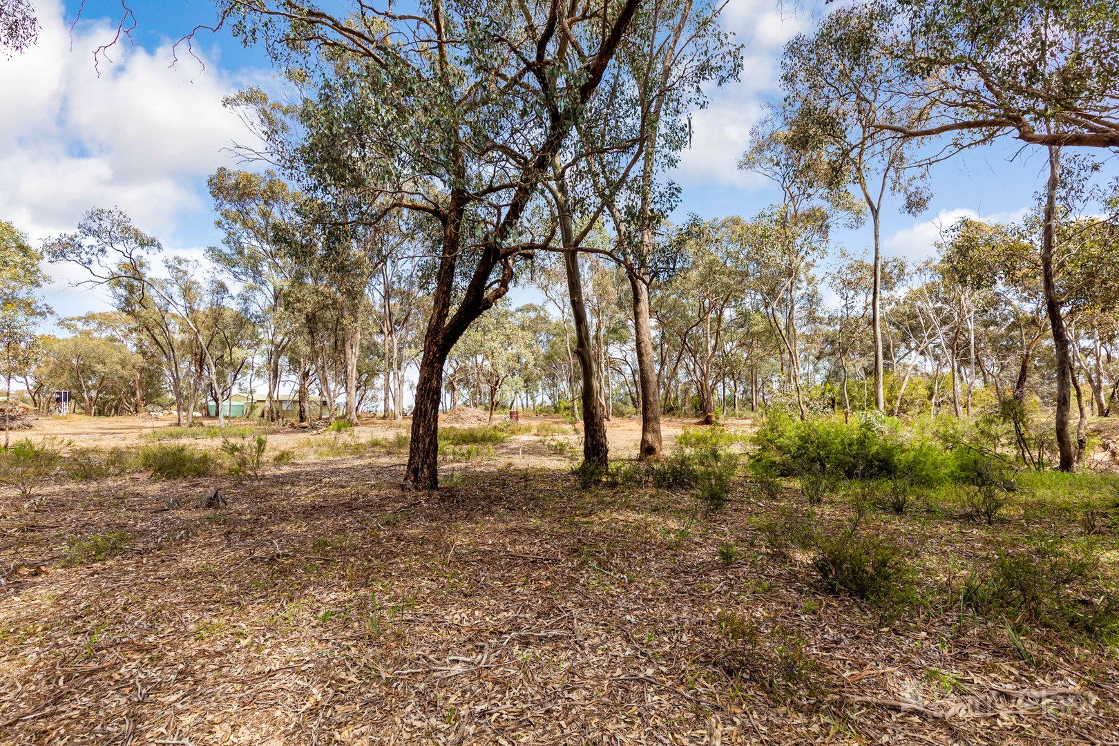 34 Mccombs RoadLockwood, VIC 3551, Lockwood - Thumbnail 5