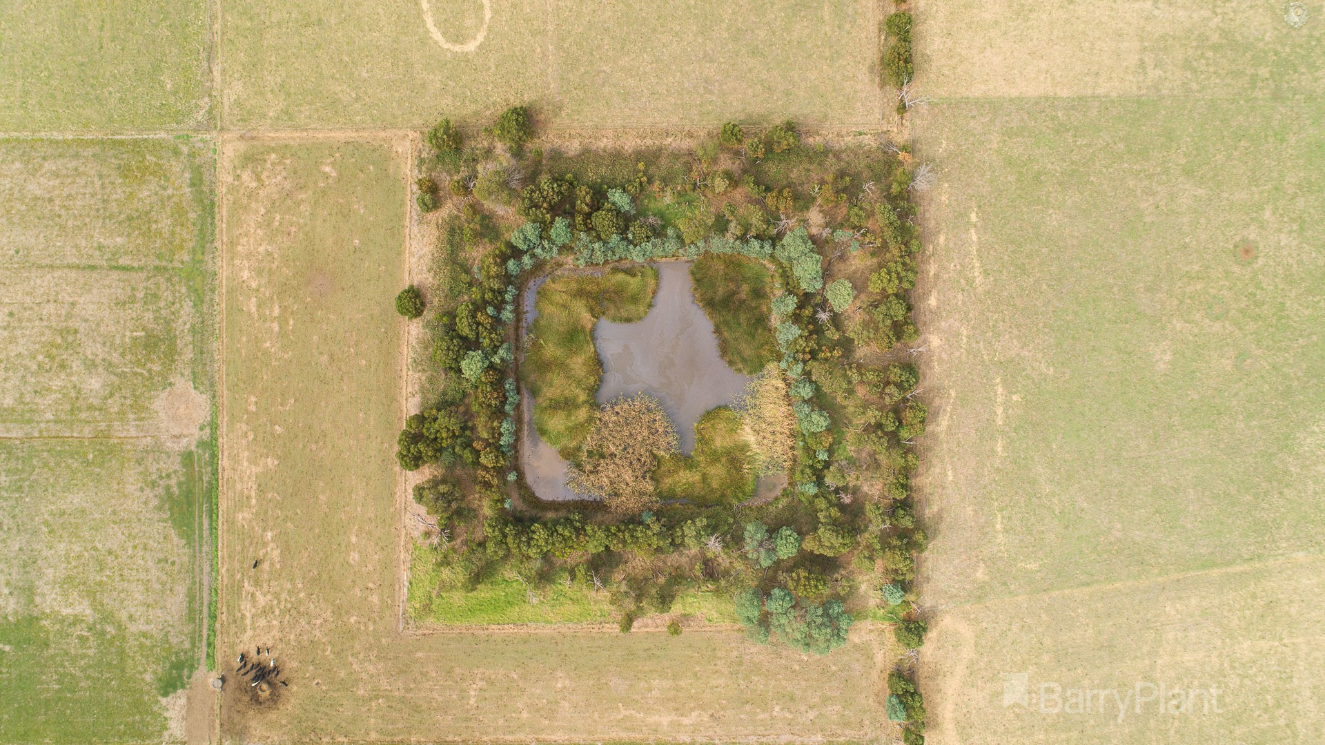 34 Murray Road, Iona, VIC 3815 - Thumbnail 2 - 30/03/2022