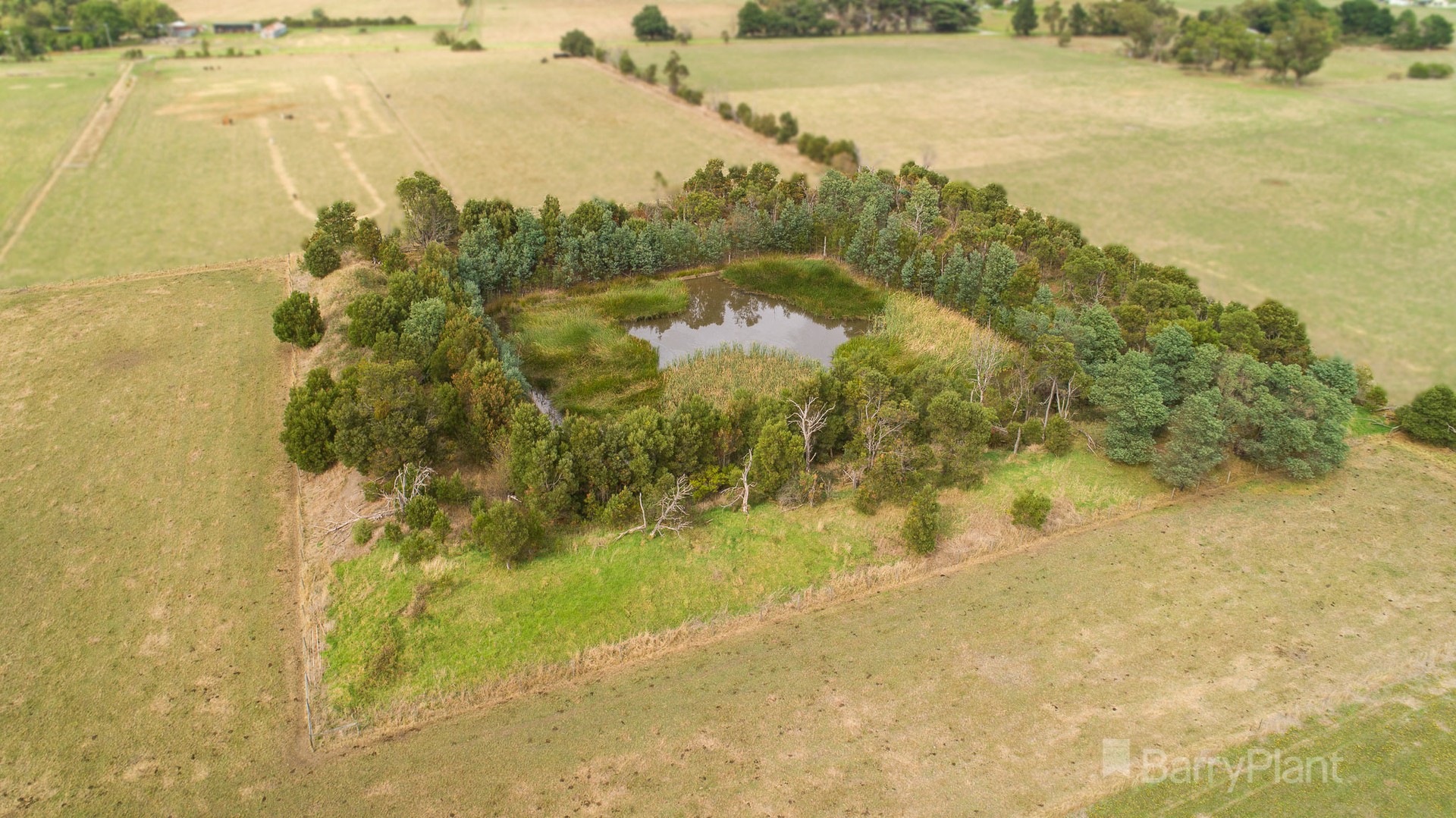 34 Murray Road, Iona, VIC 3815, Iona - Thumbnail 6