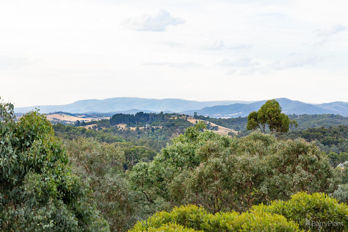 34 Taylor Road, Hurstbridge, VIC 3099, Hurstbridge - Thumbnail 2