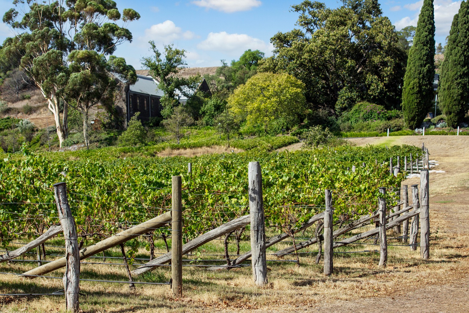 34 Vaughan Street, Sunbury, VIC 3429, Sunbury - Thumbnail 5