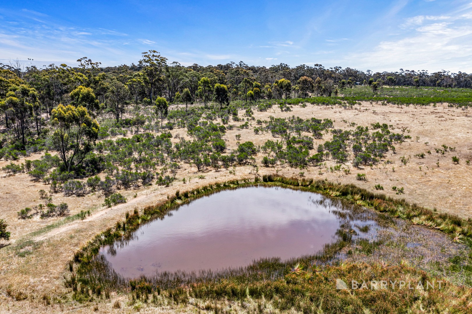 340 Talbot - Mt Cameron Road, Red Lion, VIC 3371, Red Lion - Thumbnail 2