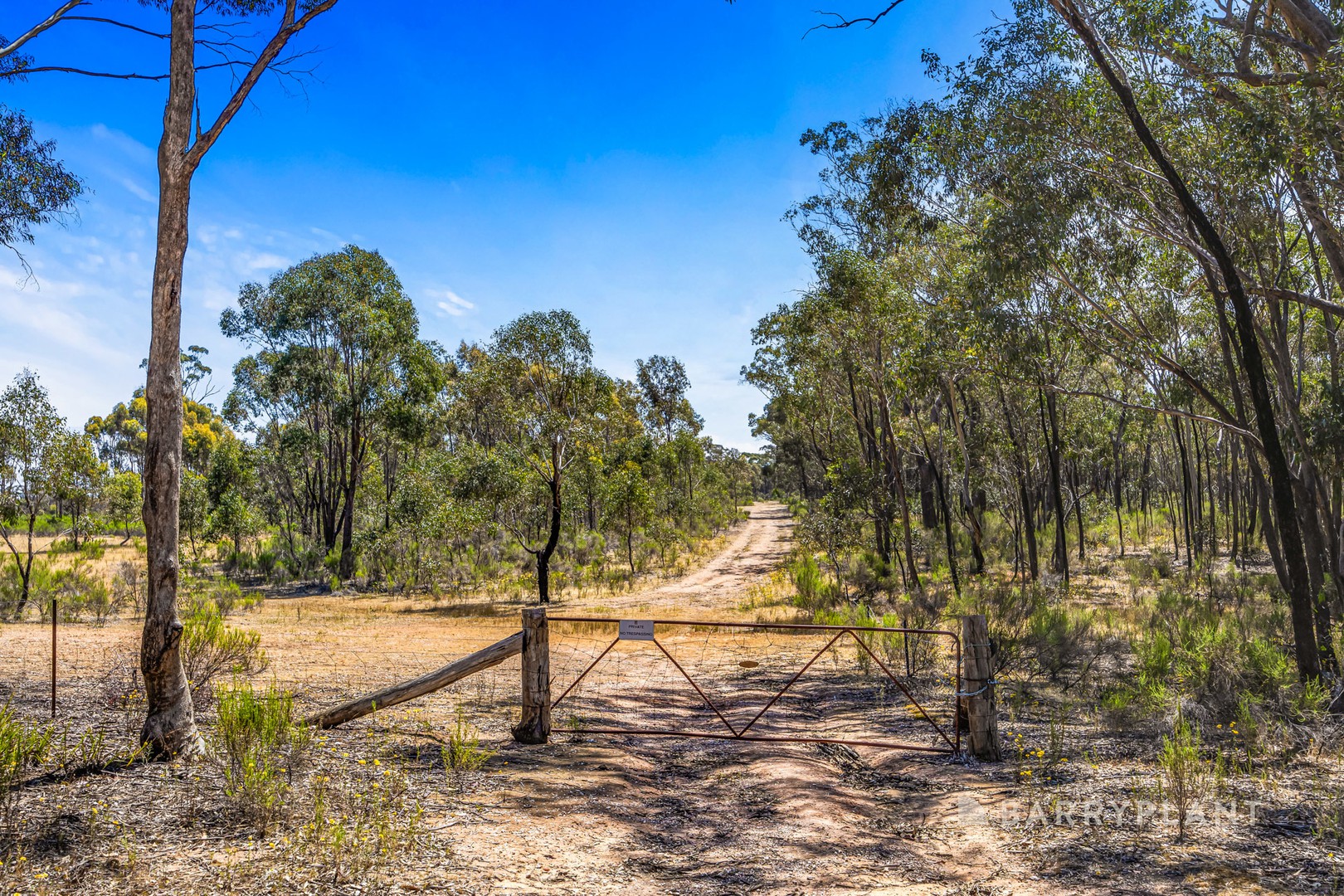 340 Talbot - Mt Cameron Road, Red Lion, VIC 3371, Red Lion - Thumbnail 3