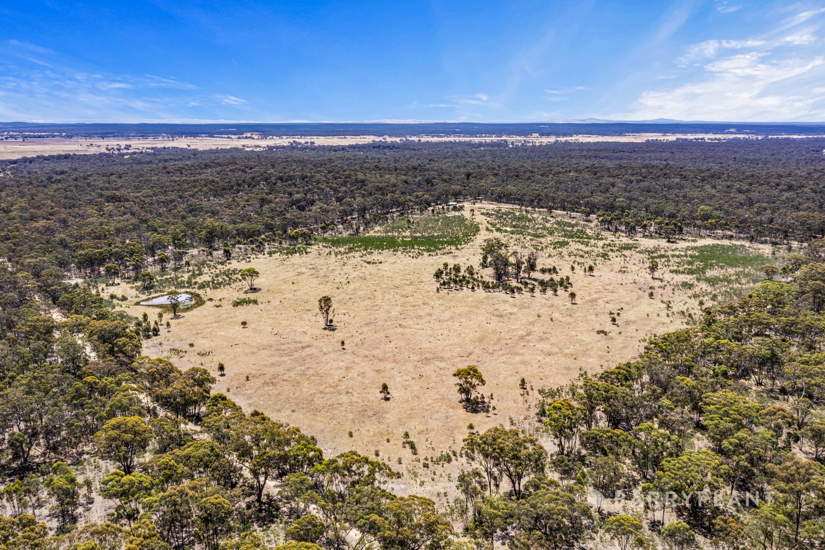 340 Talbot - Mt Cameron Road, Red Lion, VIC 3371, Red Lion - Thumbnail 4