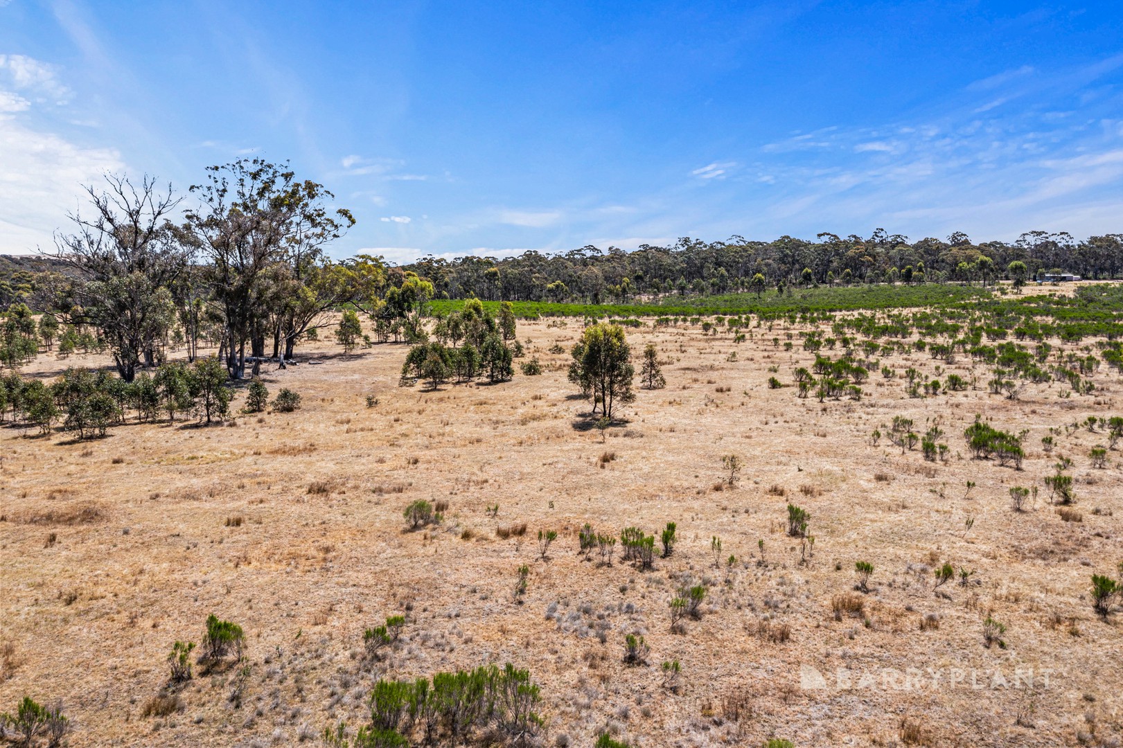 340 Talbot - Mt Cameron Road, Red Lion, VIC 3371, Red Lion - Thumbnail 7