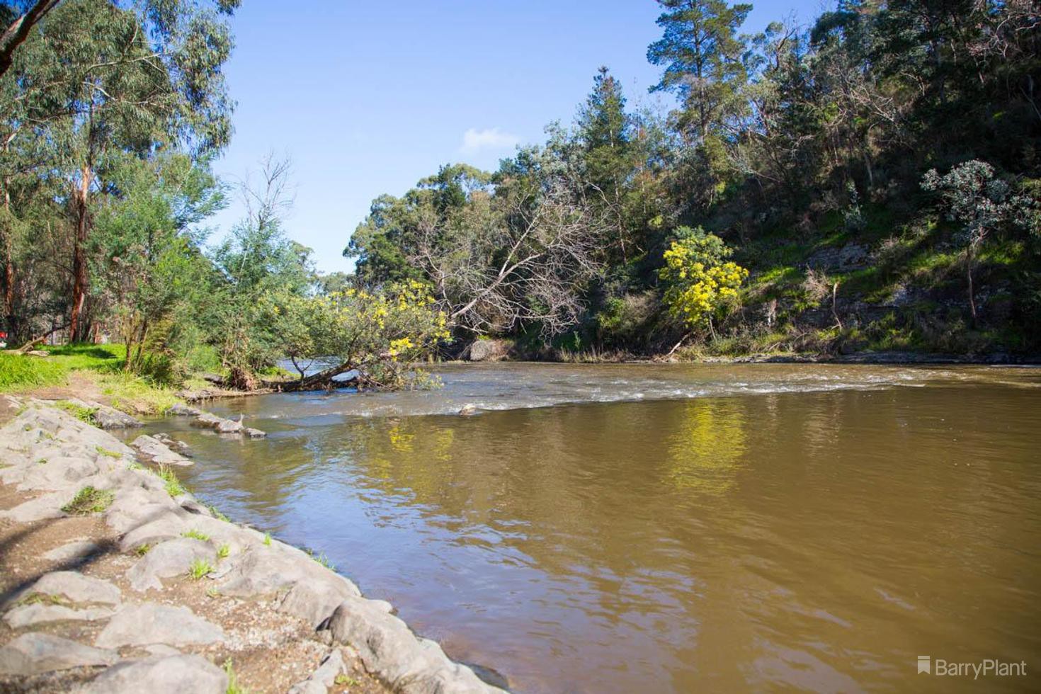 35-37 Harris Gully Road, Warrandyte, VIC 3113, Warrandyte - Thumbnail 6