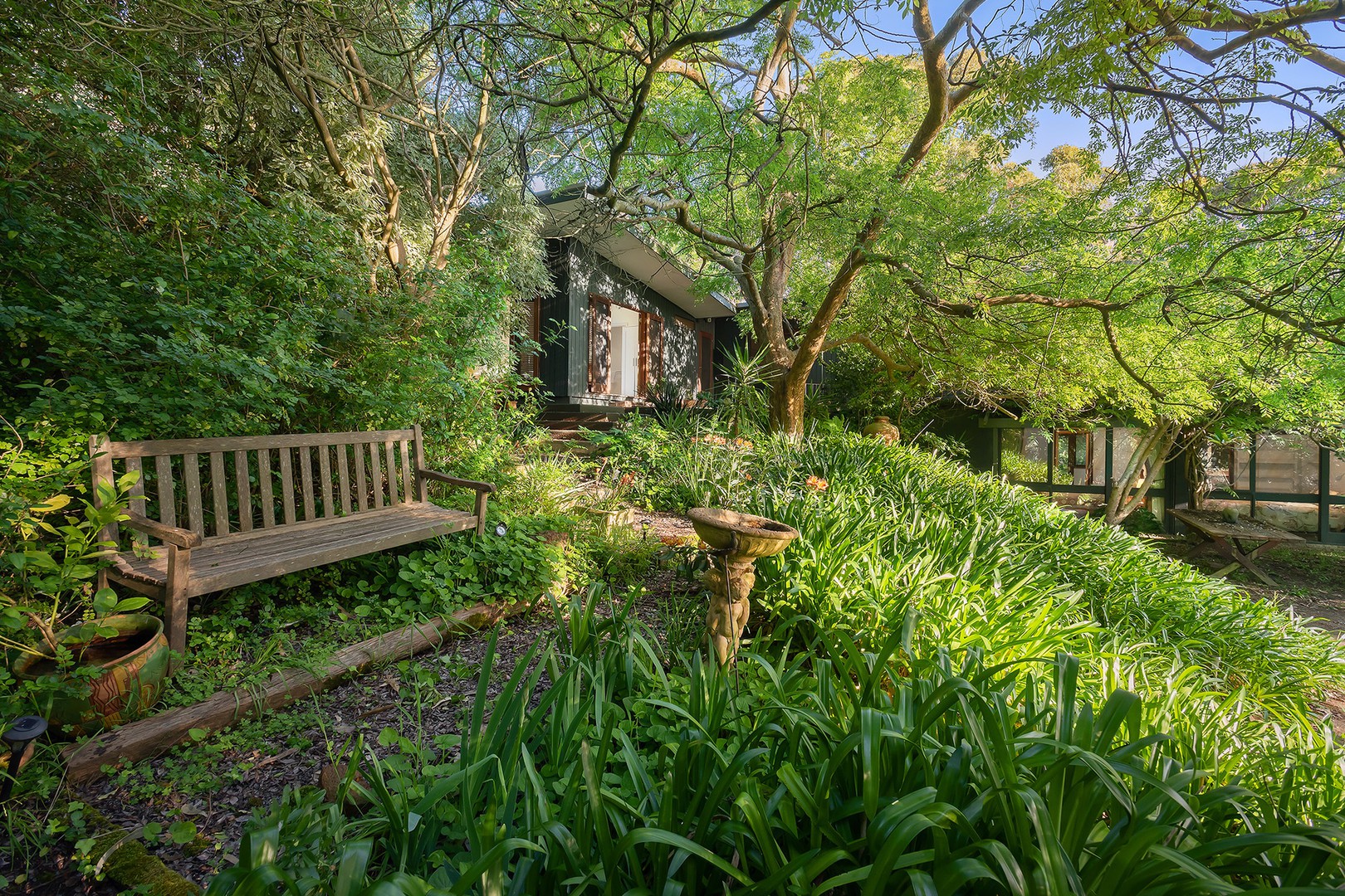 35 Browns Road, Main Ridge, VIC 3928, Main Ridge - Thumbnail 4
