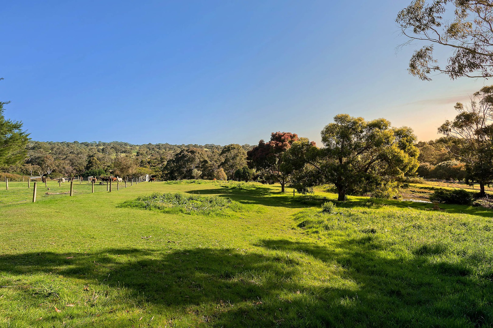35 Browns Road, Main Ridge, VIC 3928, Main Ridge - Thumbnail 5