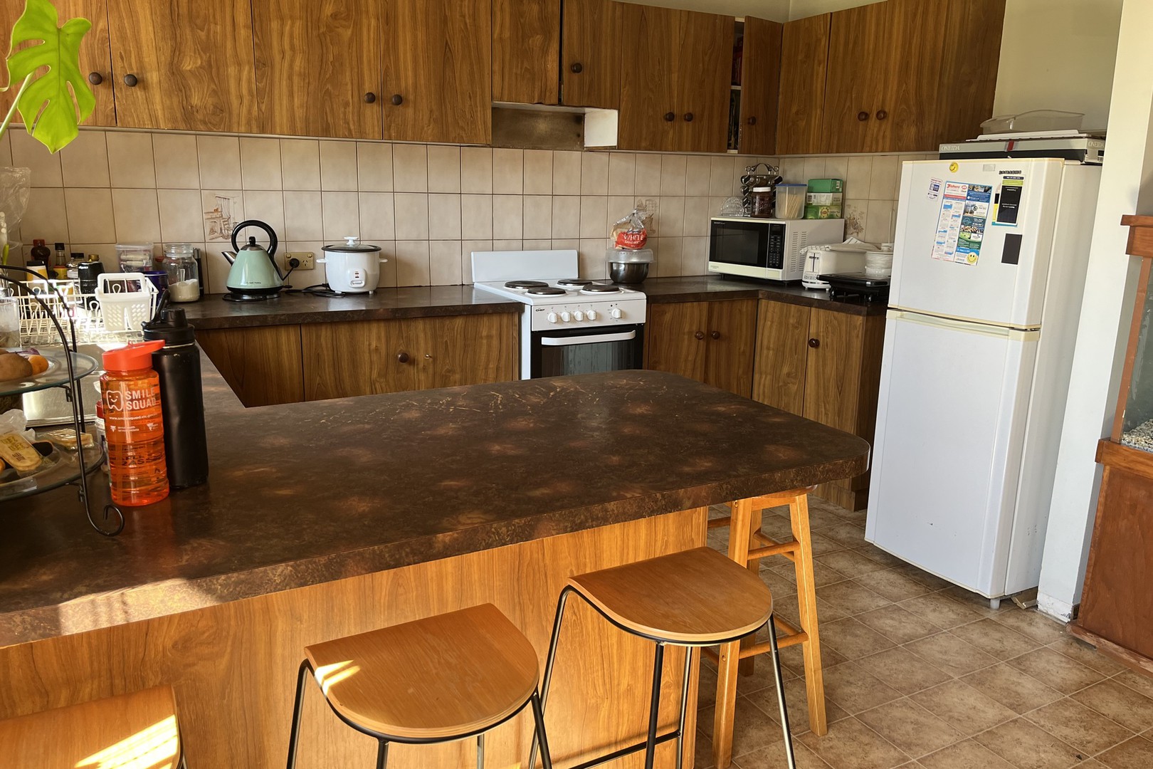 35 Perry Street, Euston, NSW 2737, Euston - Thumbnail 3