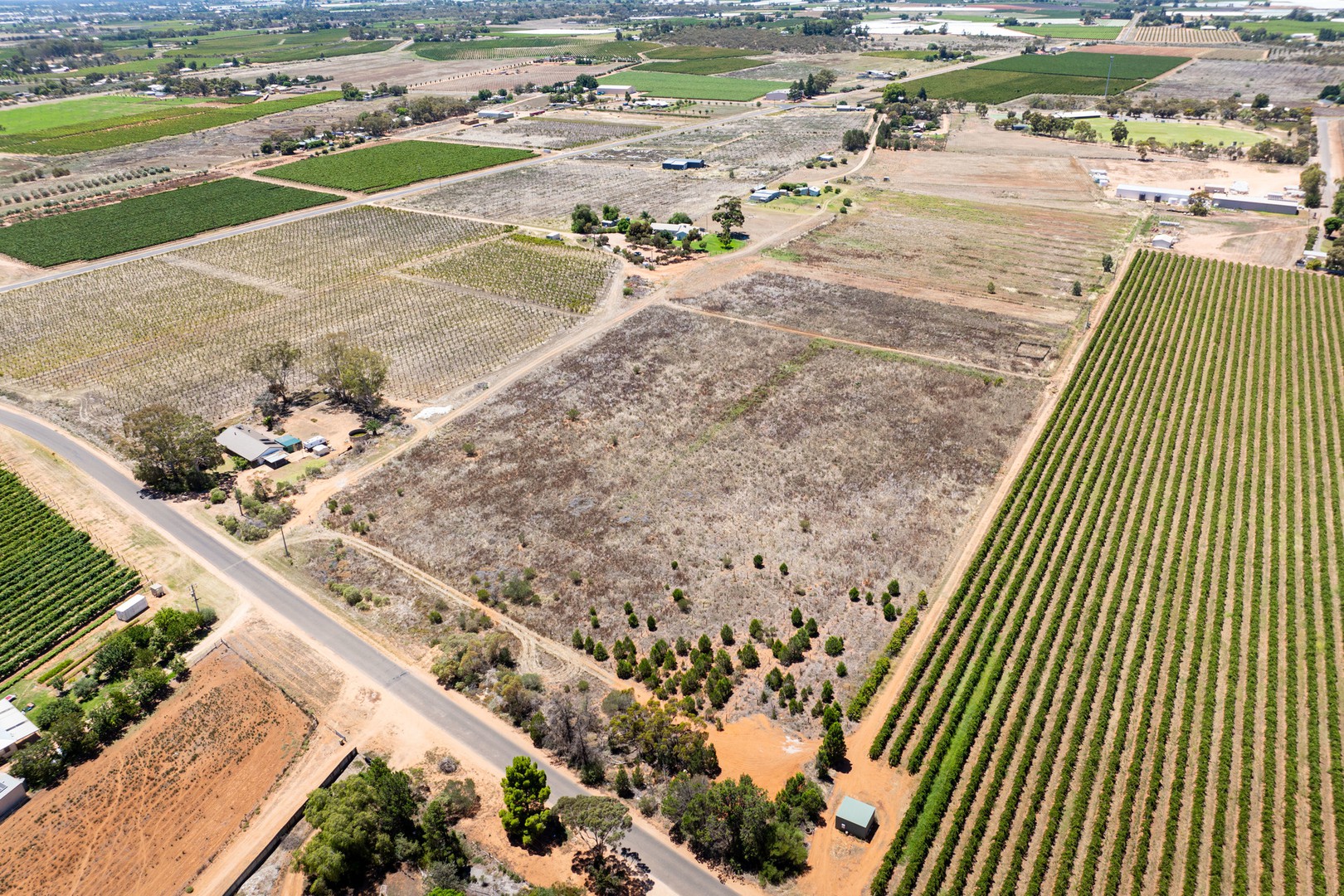 350 Dairtnunk Avenue, Cardross, VIC 3496, Cardross - Thumbnail 2