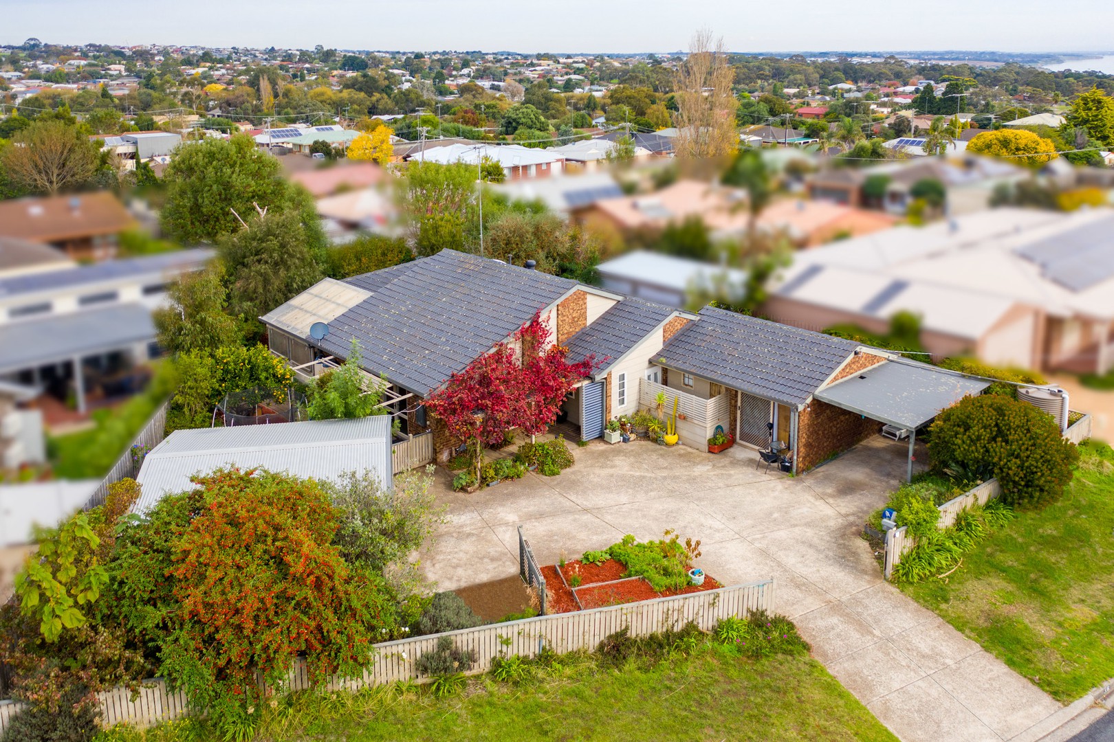 36 Thamballina Road, Clifton Springs, VIC 3222, Clifton Springs - Thumbnail 2