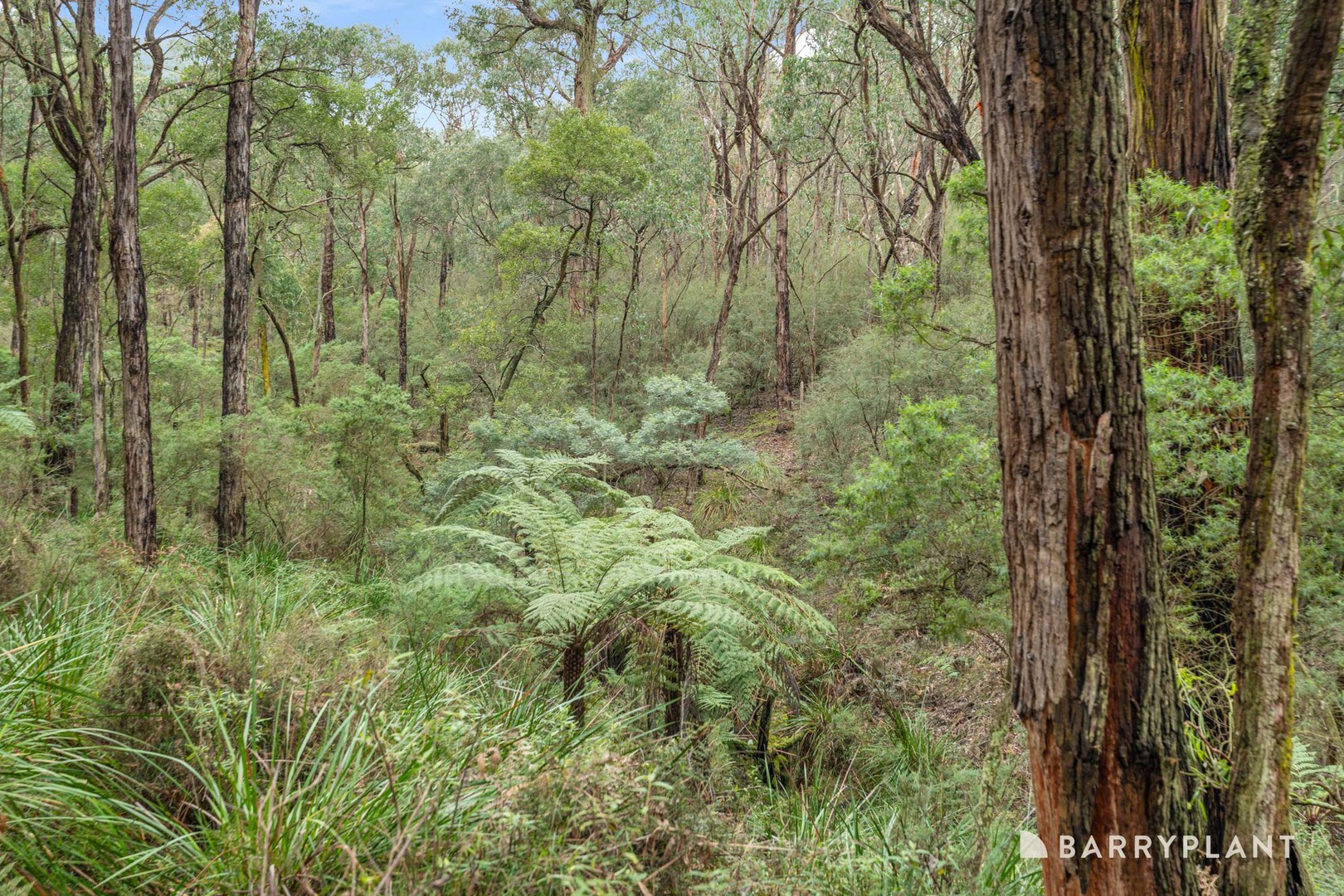 360 Dickie Road, Officer, VIC 3809 - Thumbnail 2 - 12/08/2026