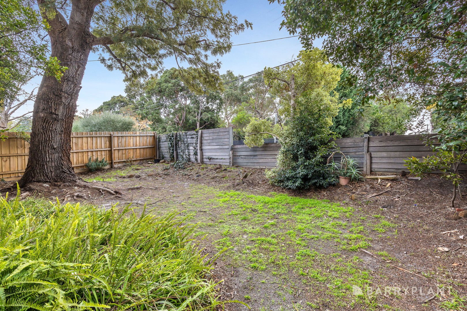 37 Comas Road, Cheltenham, VIC 3192, Cheltenham - Thumbnail 5