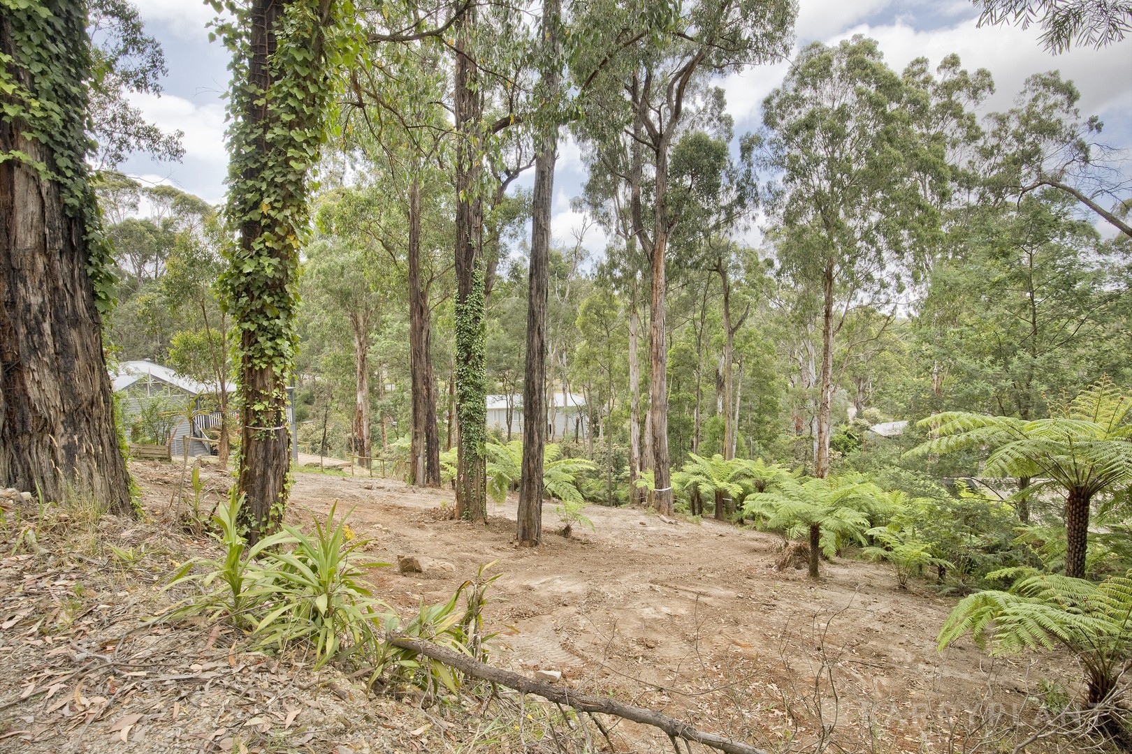 37 Mountain Road, Cockatoo, VIC 3781 - Thumbnail 2 - 19/01/2026