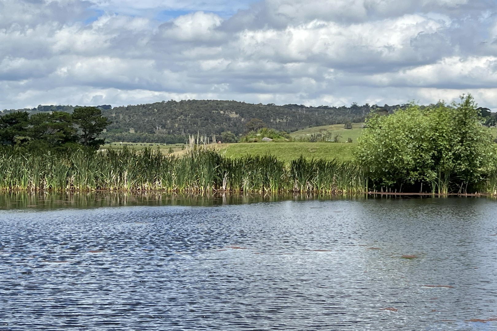 371 Lysterfield Road, Lysterfield, VIC 3156, Lysterfield - Thumbnail 3