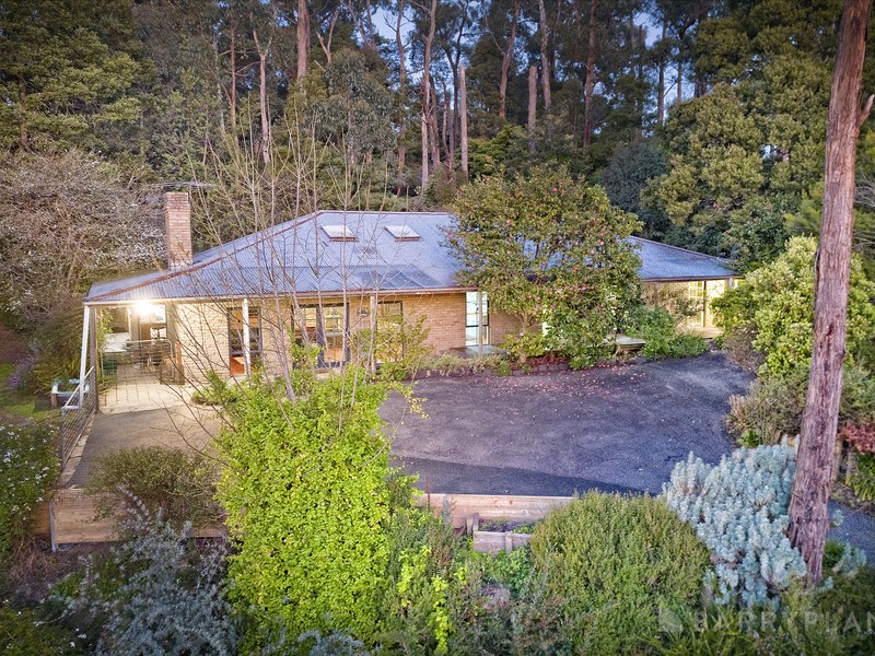 38-40 Belgrave Gembrook Road, Cockatoo, VIC 3781 - Image - 02/09/2026