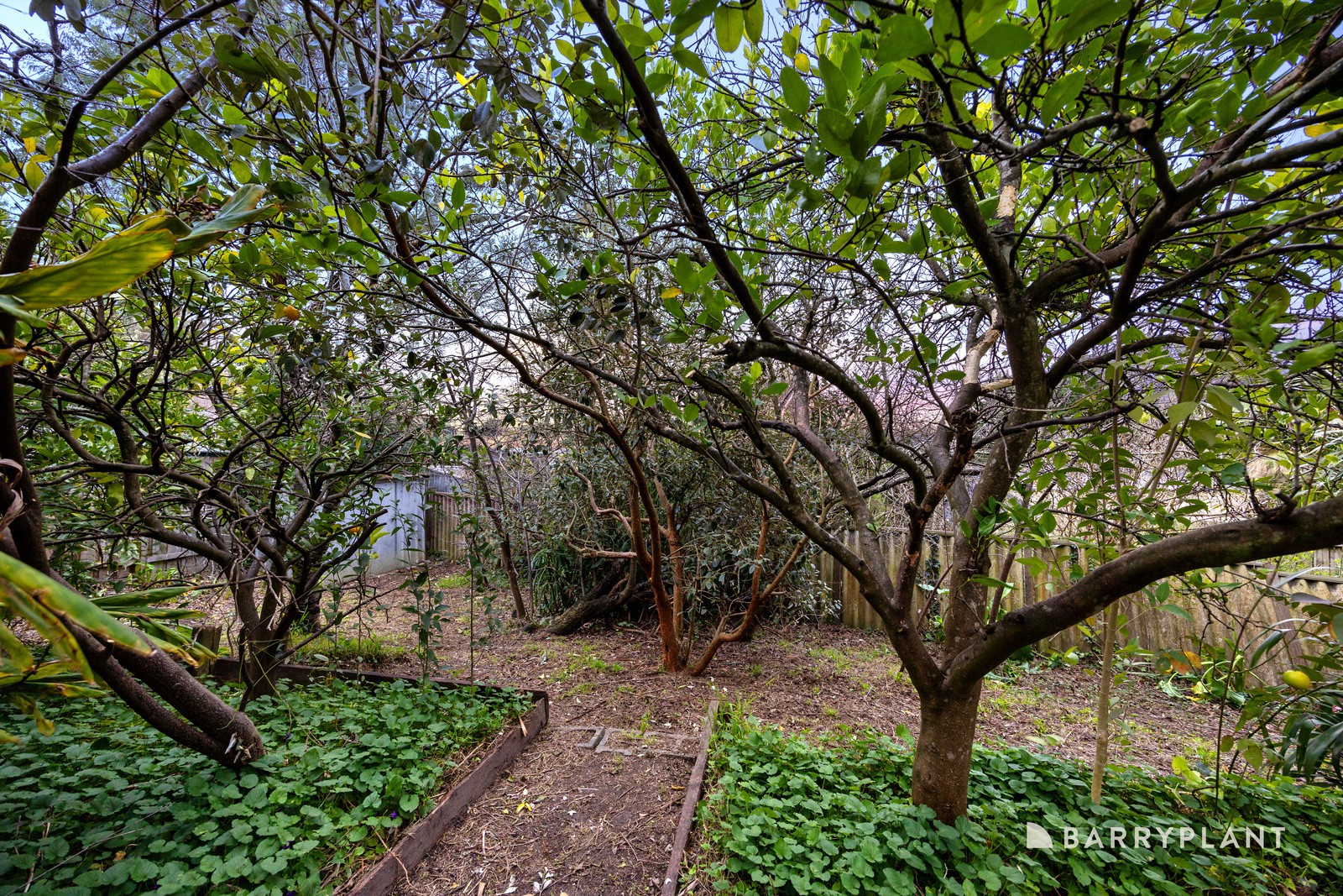38 Alan Grove, Woori Yallock, VIC 3139, Woori Yallock - Thumbnail 4