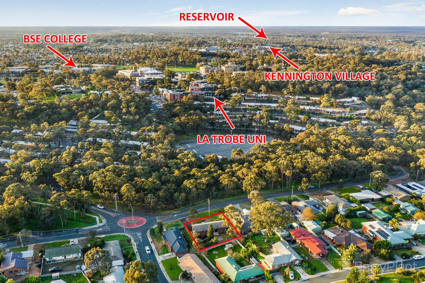 38 Friswell AvenueFlora Hill, VIC 3550, Flora Hill - Thumbnail 2