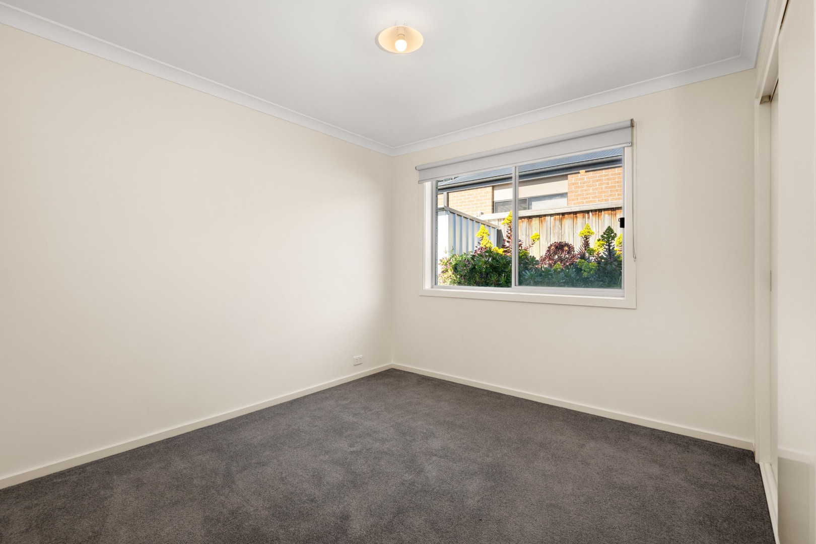 38 Lillrose Drive, Charlemont, VIC 3217, Charlemont - Thumbnail 8