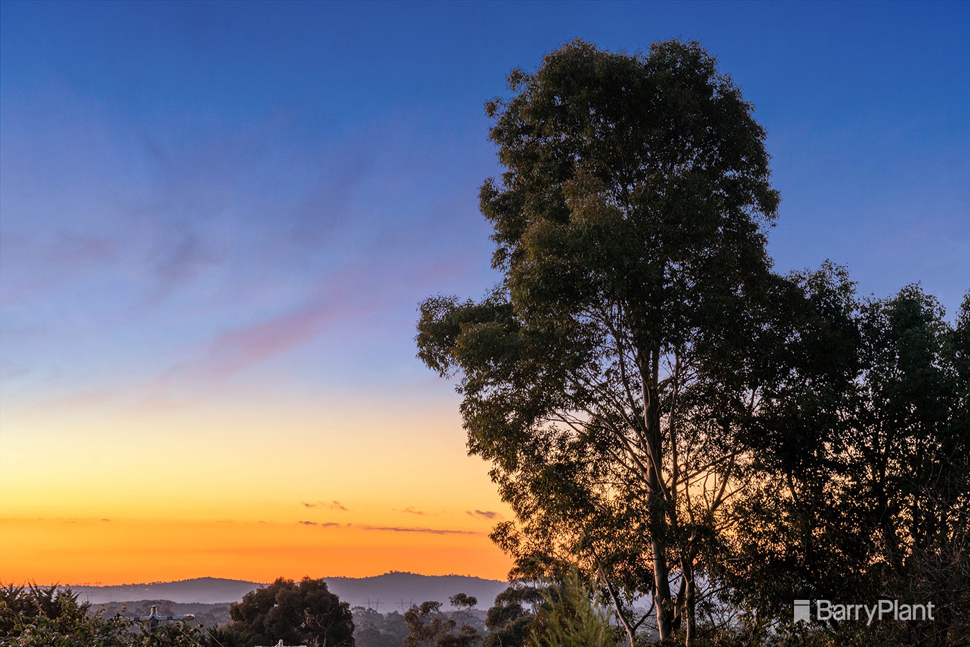38 Trafalgar Crescent, Lilydale, VIC 3140, Lilydale - Thumbnail 2