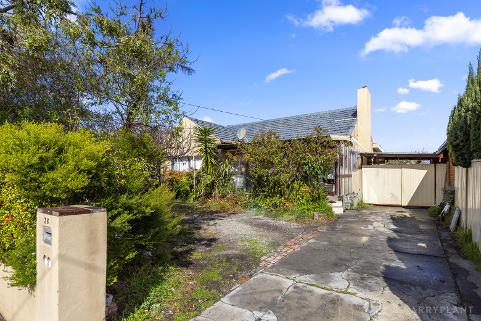 38 Whitworth Avenue, Springvale, VIC 3171, Springvale - Thumbnail 3