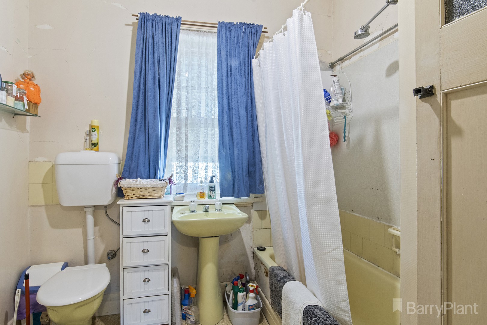 388 Napier StreetWhite Hills, VIC 3550, White Hills - Thumbnail 7