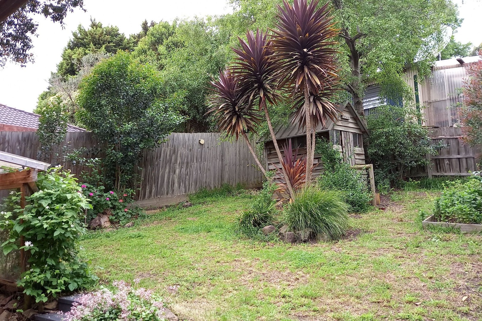 38b Sugarloaf Drive, Chirnside Park, VIC 3116, Chirnside Park - Thumbnail 8