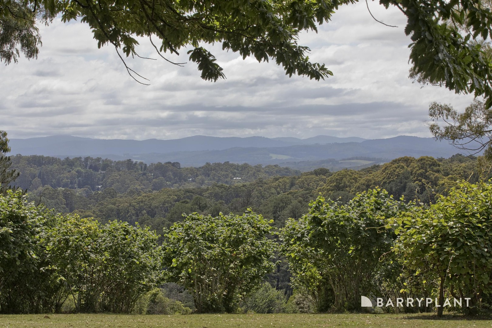 39 Beaconsfield Emerald Road, Emerald, VIC 3782, Emerald - Thumbnail 8
