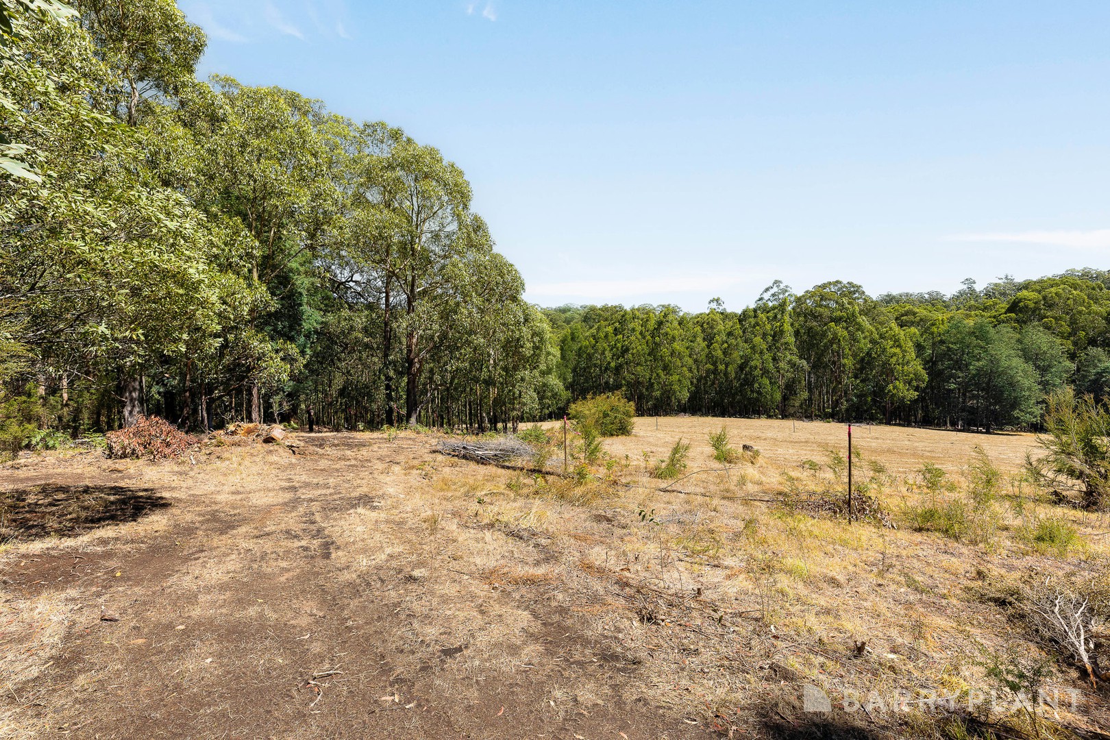 39 Howard Road, Kinglake, VIC 3763, Kinglake - Thumbnail 5