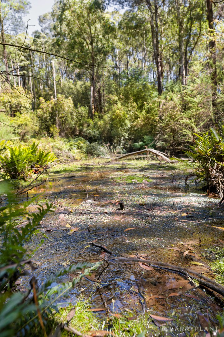39 Howard Road, Kinglake, VIC 3763, Kinglake - Thumbnail 7