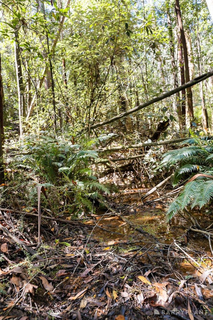 39 Howard Road, Kinglake, VIC 3763, Kinglake - Thumbnail 8