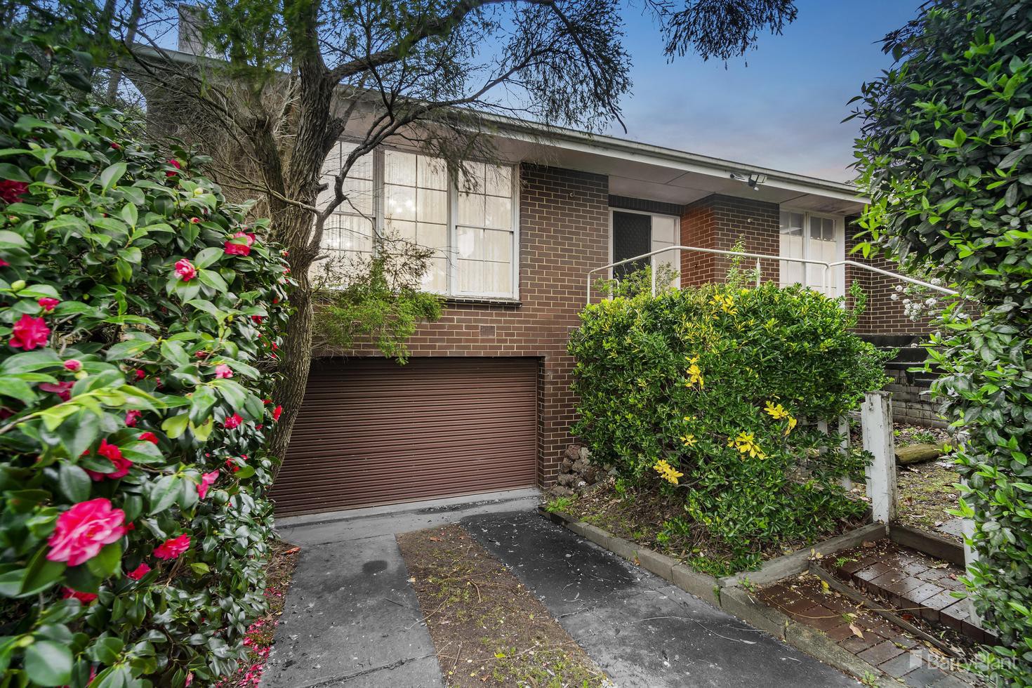 39 Nirvana Crescent, Bulleen, VIC 3105, Bulleen - Thumbnail 2