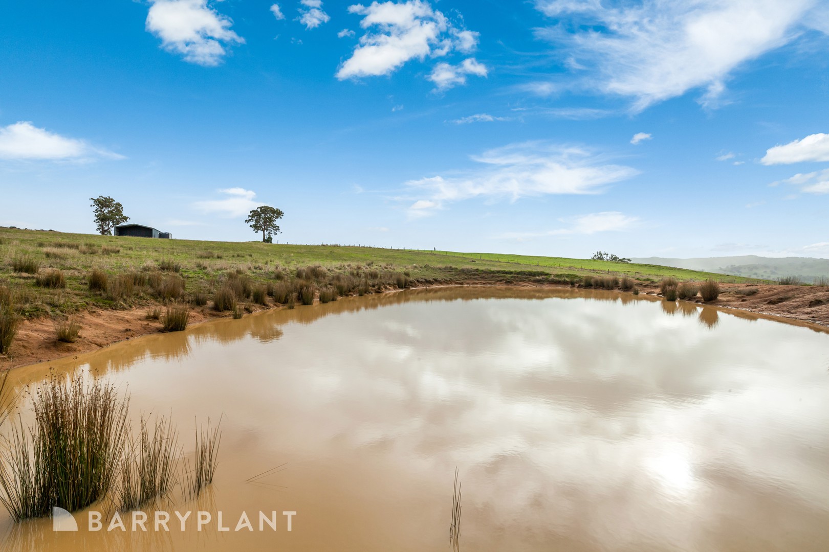 3920 Northern Highway, Pyalong, VIC 3521, Pyalong - Thumbnail 7