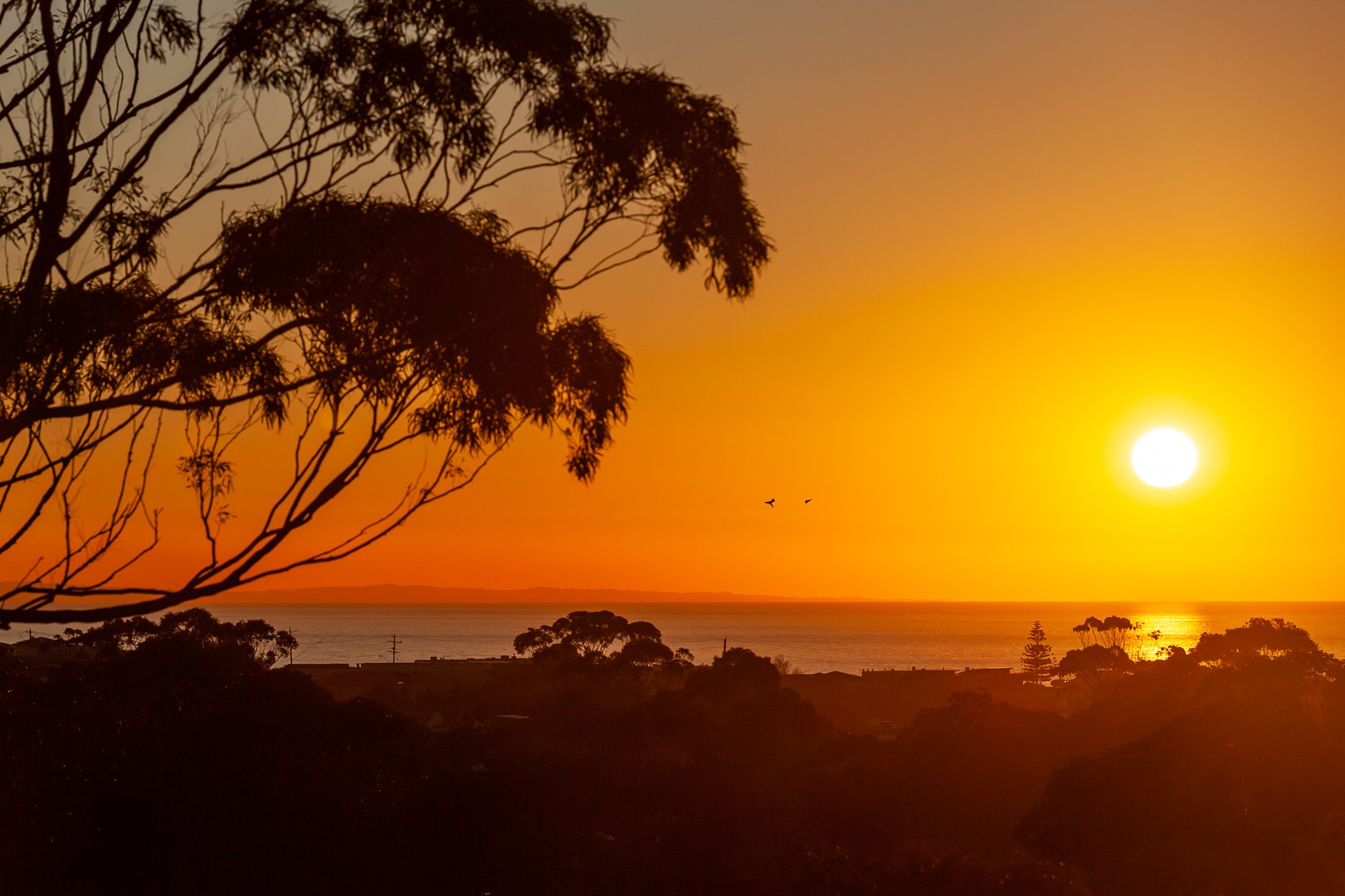 4/130 Wilsons Road, Mornington, VIC 3931, Mornington - Thumbnail 7