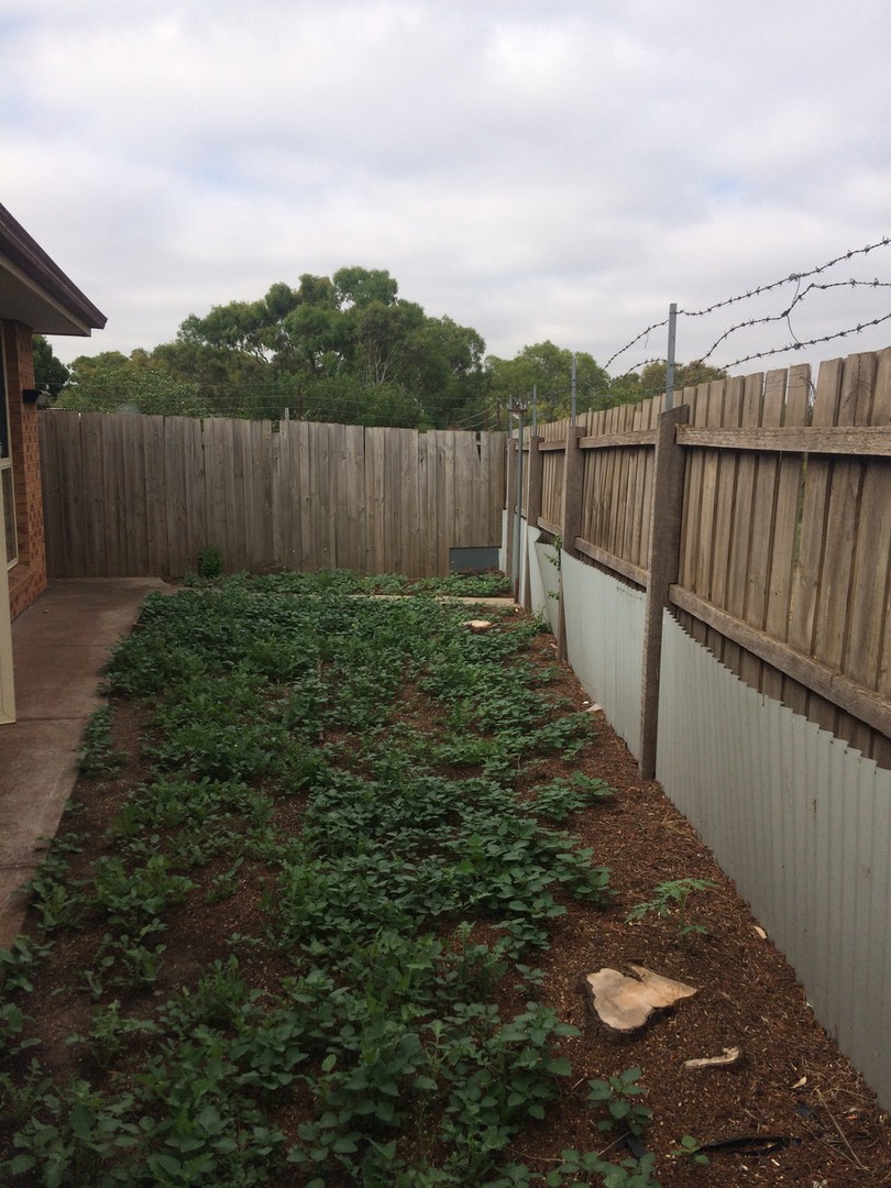 4/137 Opie Road, St Albans, VIC 3021, St Albans - Thumbnail 5