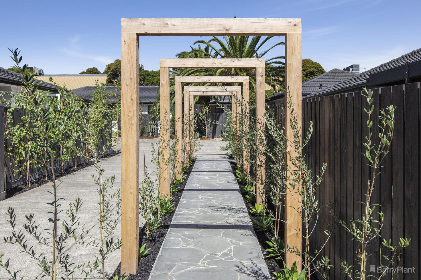 4/38-40 Burnt Street, Nunawading, VIC 3131, Nunawading - Thumbnail 3