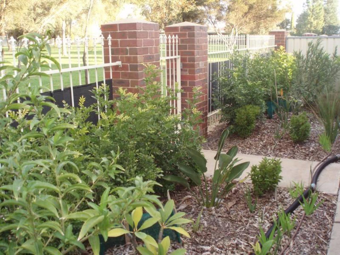 4/6 Sapphire Court, Mildura, VIC 3500, Mildura - Thumbnail 5