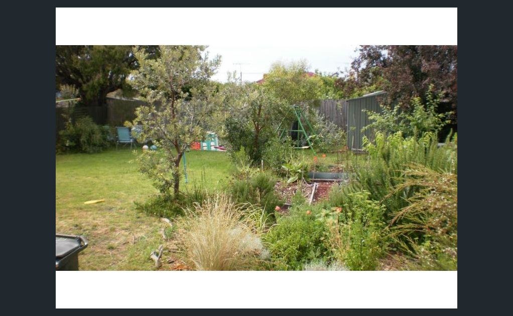 4 Gale Street, Aspendale, VIC 3195, Aspendale - Thumbnail 3