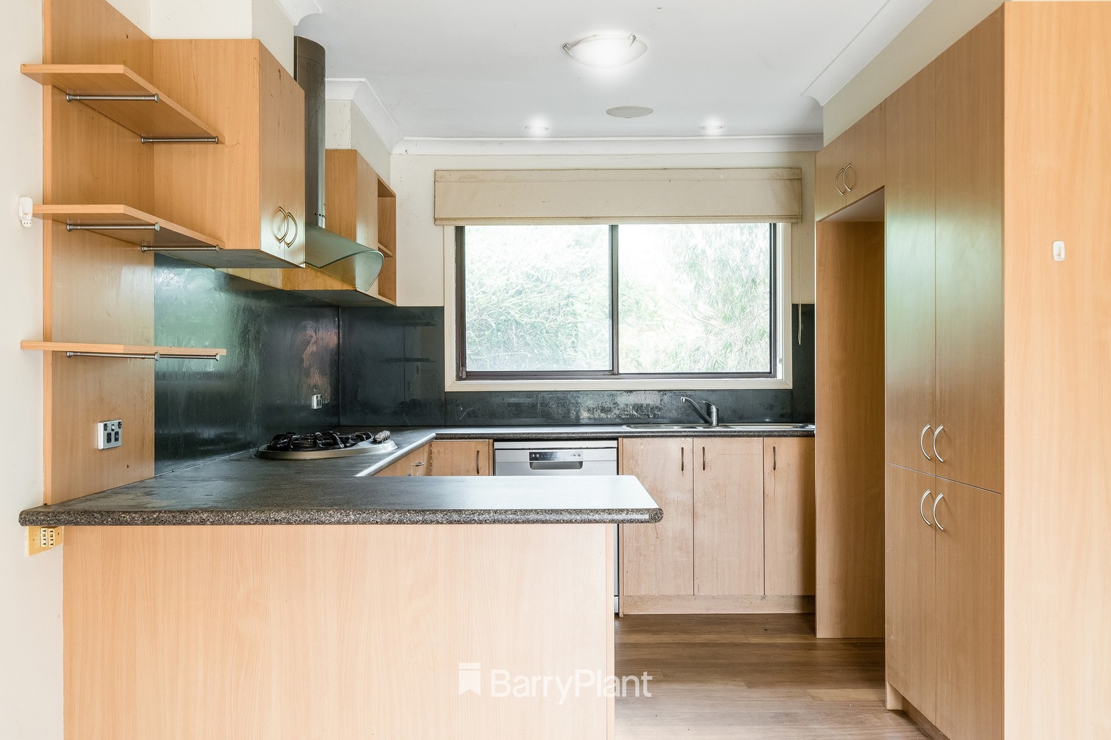 4 Garyth Court, Belmont, VIC 3216, Belmont - Thumbnail 4