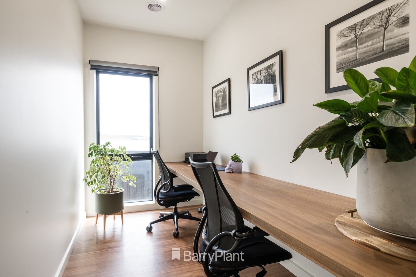 4 Highpoint Crescent, Highton, VIC 3216, Highton - Thumbnail 4