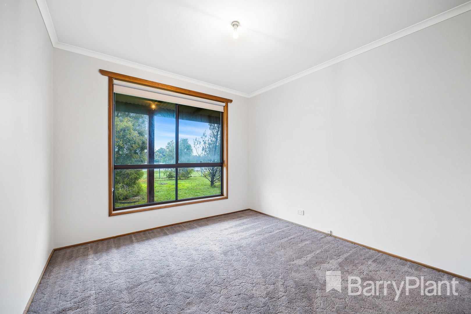 4 Homebush Road, Avoca, VIC 3467, Avoca - Thumbnail 6