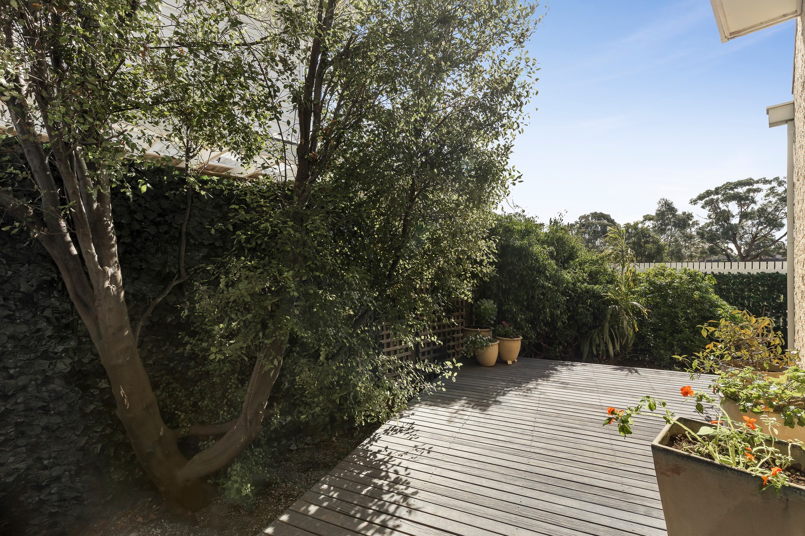 4 Hutchins Close, Mordialloc, VIC 3195, Mordialloc - Thumbnail 2