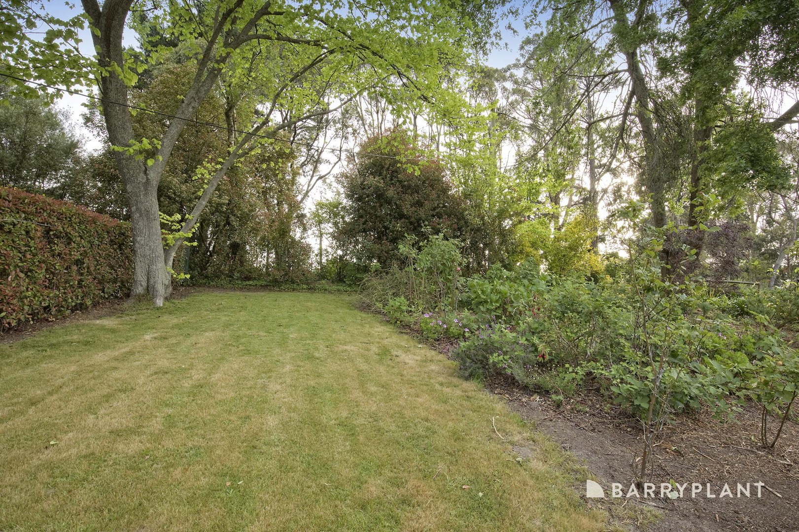 4 Patons Road, Macclesfield, VIC 3782, Macclesfield - Thumbnail 3