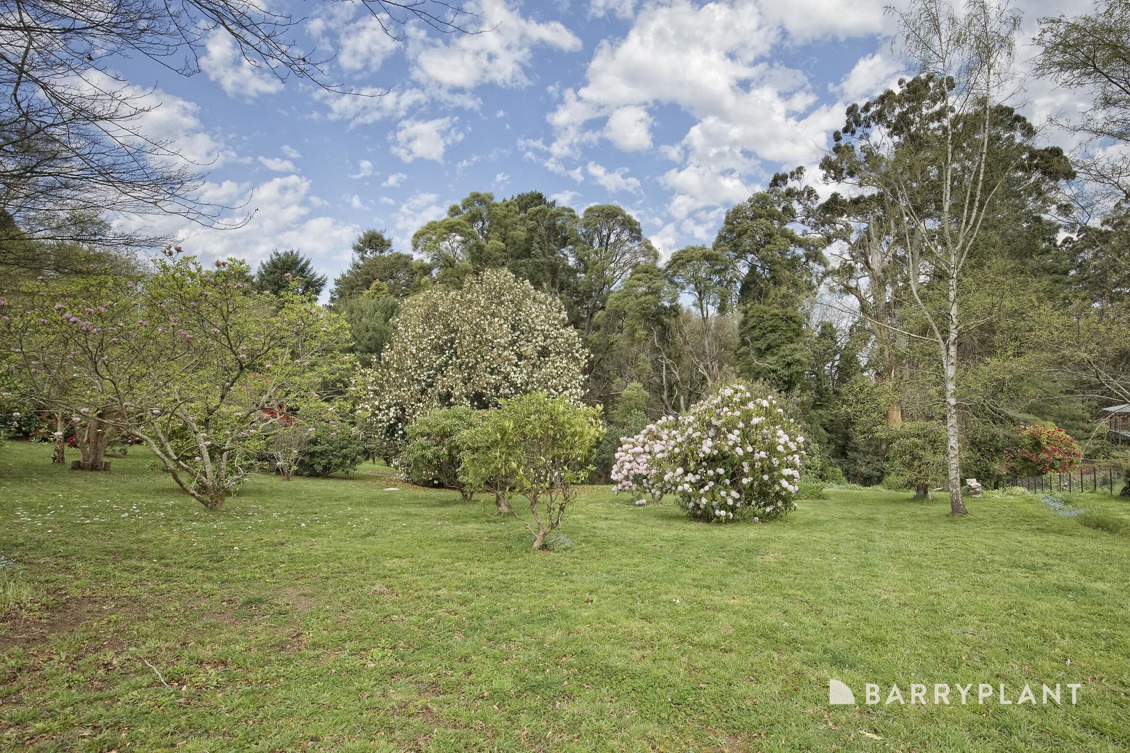 4 Victor Street, Olinda, VIC 3788, Olinda - Thumbnail 8