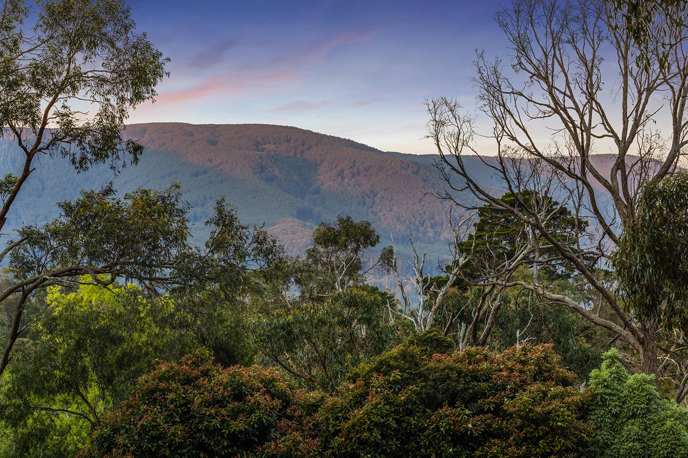 4 Witnish Street, Yarra Junction, VIC 3797, Yarra Junction - Thumbnail 3
