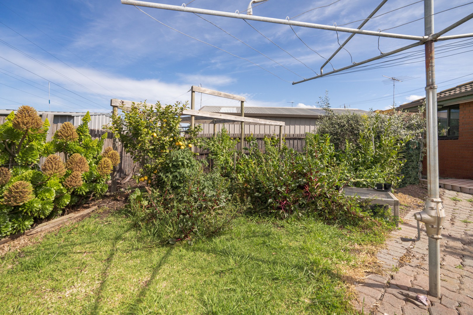 40 Matthews RoadCorio, VIC 3214, Corio - Thumbnail 8