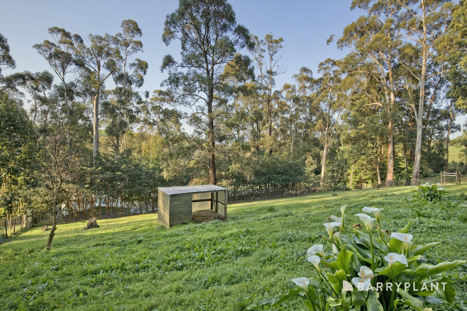 40 Pinnocks Road, Emerald, VIC 3782, Emerald - Thumbnail 3